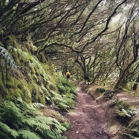 Apartmán Acogedor Estudio En La Laguna (Tenerife)